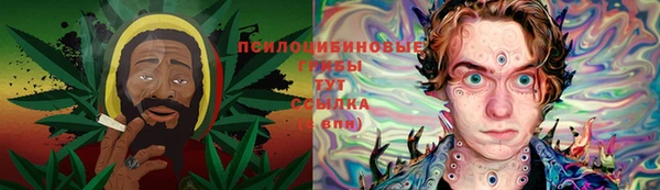 прущий лед Аркадак