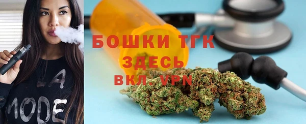 стафф Арсеньев