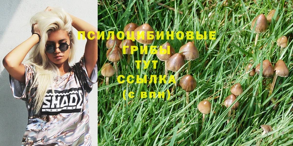 прущий лед Аркадак