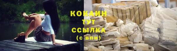 стафф Арсеньев
