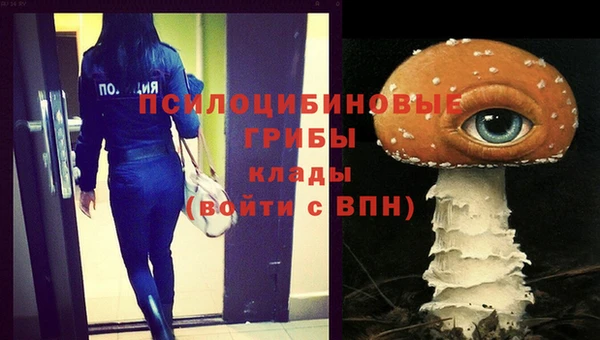 прущий лед Аркадак