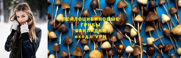 прущий лед Аркадак